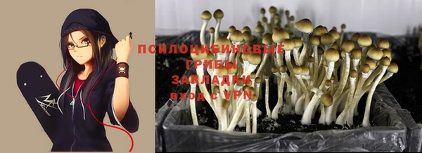 прущие крисы Горняк