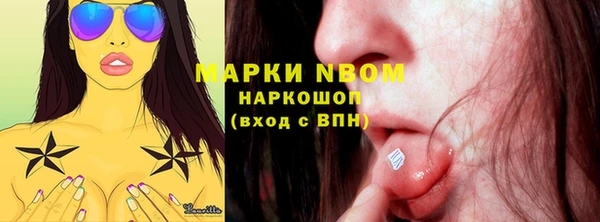 прущие крисы Горняк