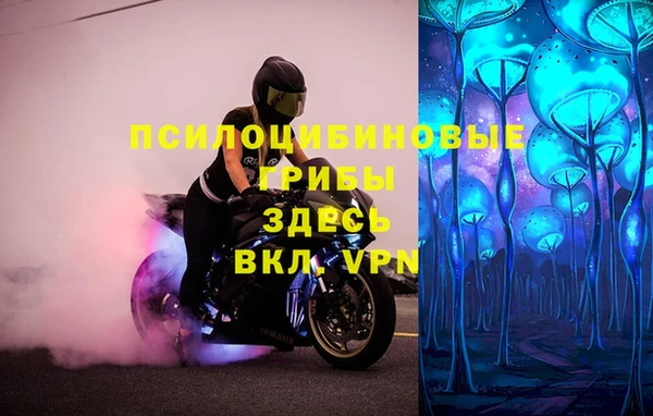 хмурый Горно-Алтайск