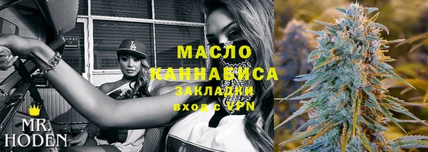 прущие крисы Горняк