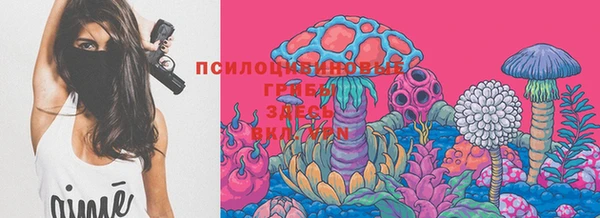 хмурый Горно-Алтайск
