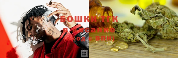 хмурый Горно-Алтайск