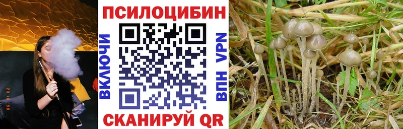 Галлюциногенные грибы прущие грибы  Купить закладки  Калязин 